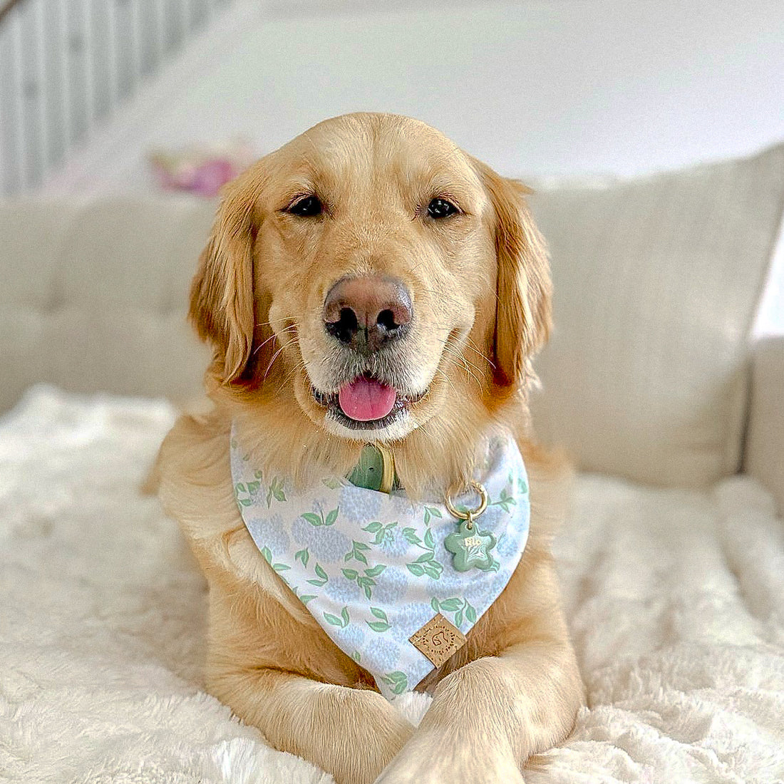 Morning Hydrangea Bandana