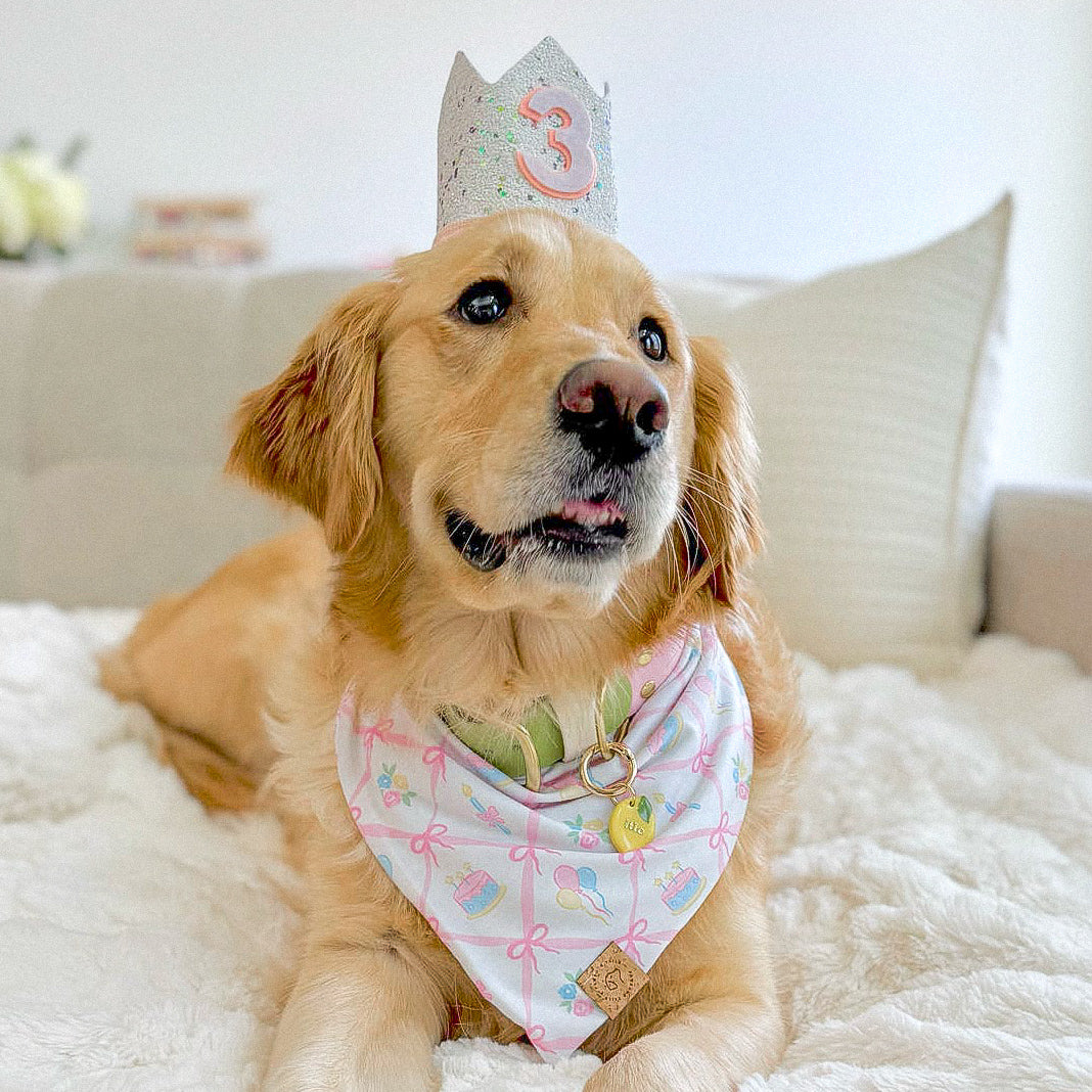 Pink Celebration Bandana