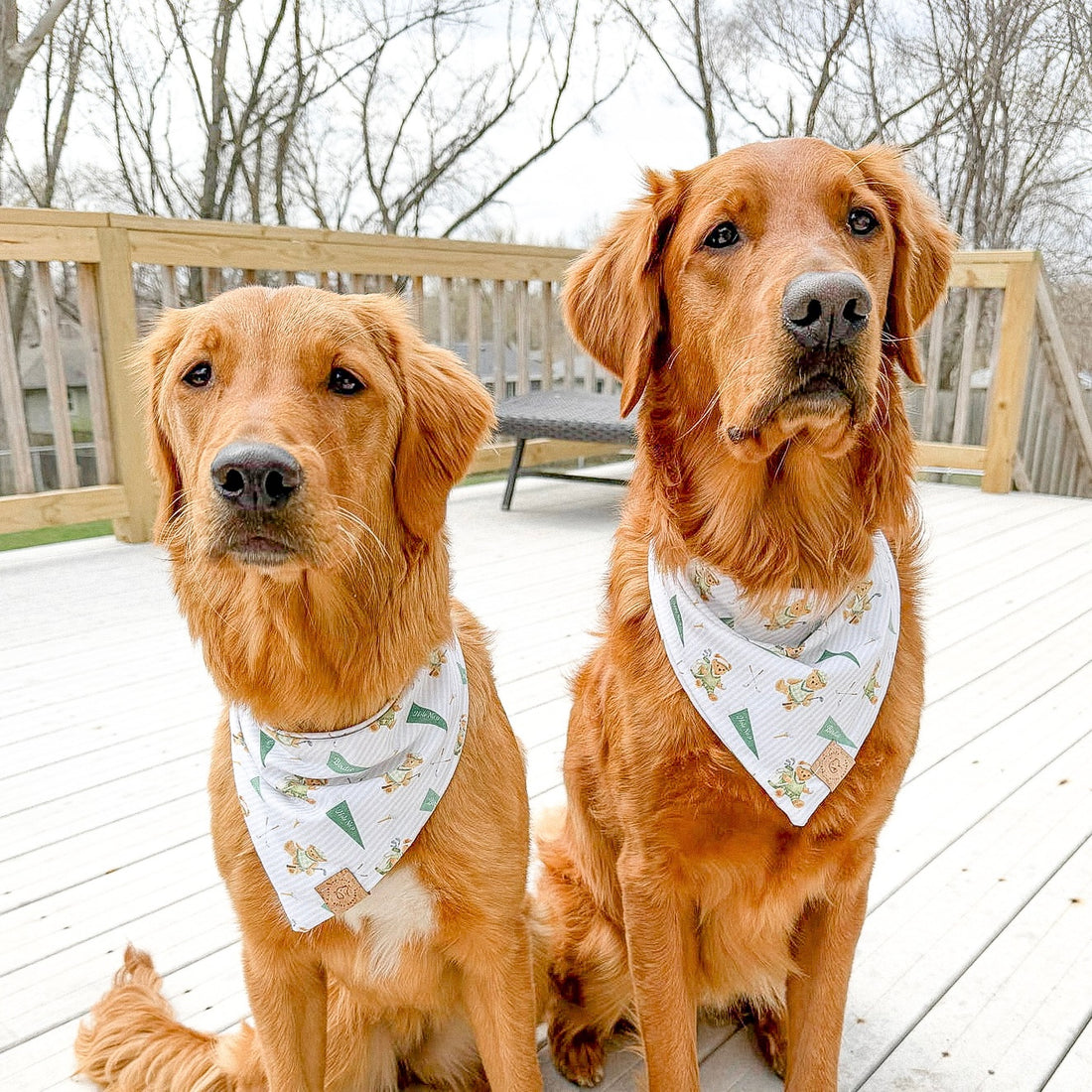 Birdie Club Bandana
