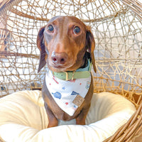 Liberty Days Bandana