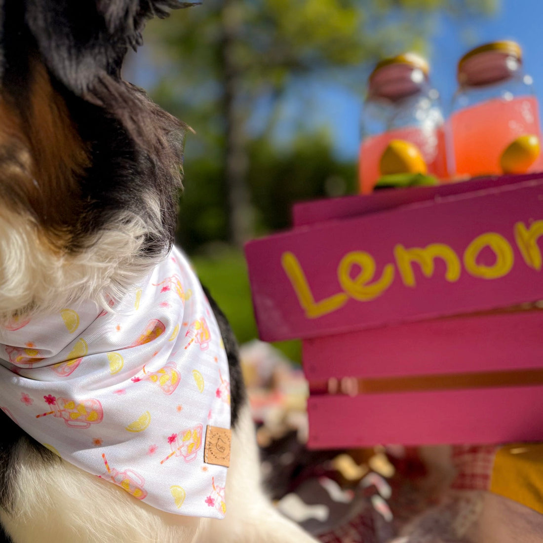Pink Lemonade Bandana