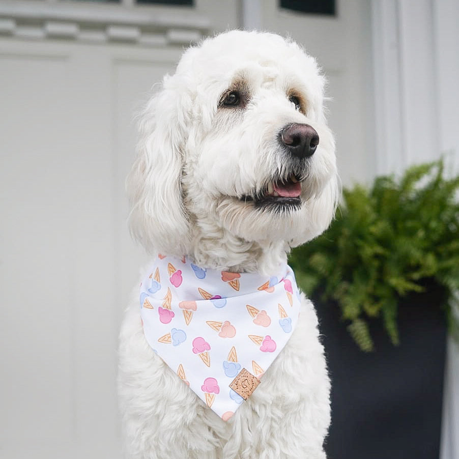 Ice Cream Bandana
