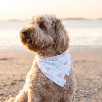 Ocean Treasure Bandana