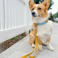 Standard Waterproof Dog Leash