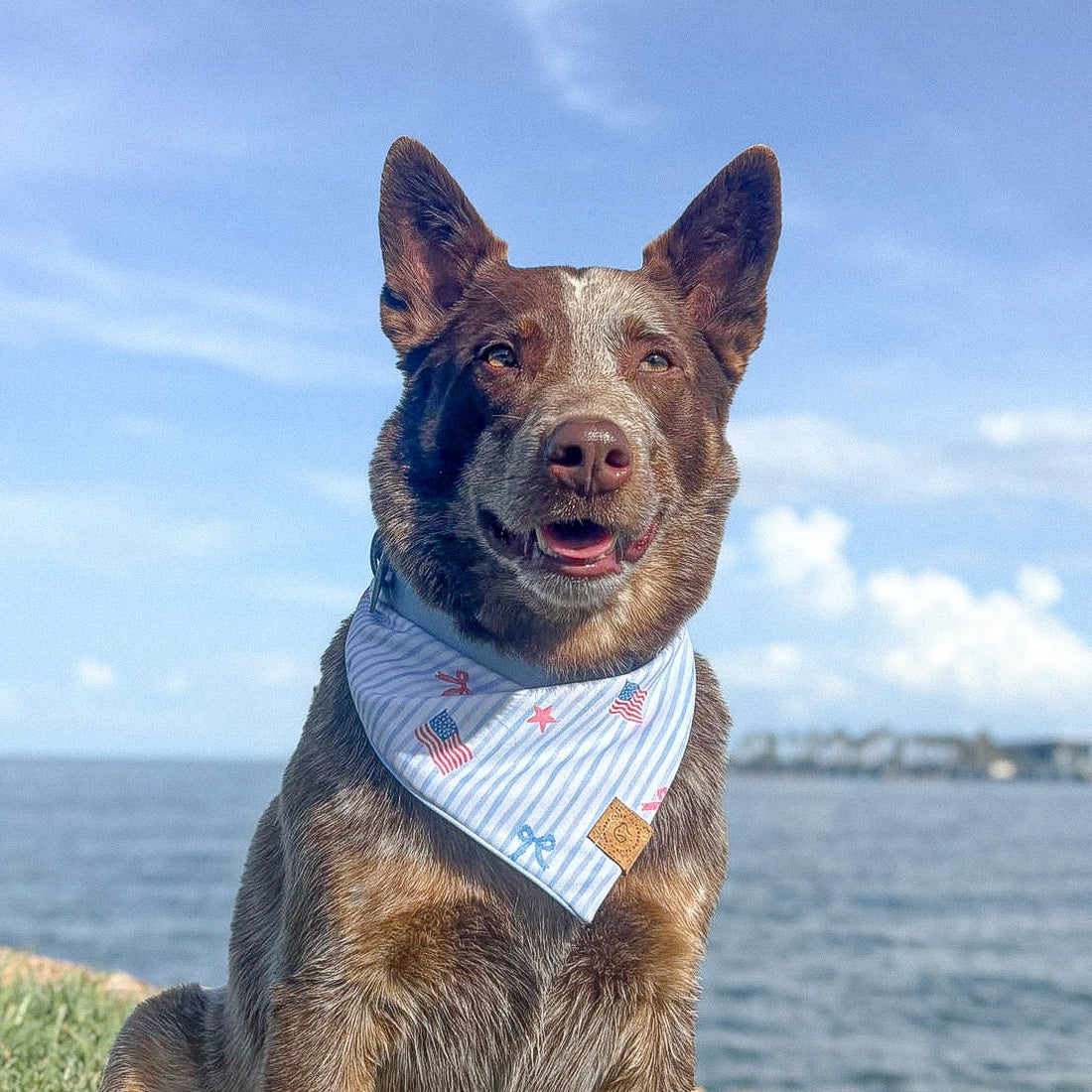 Stars & Stripes Bandana