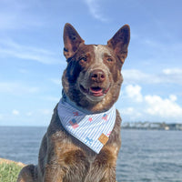 Stars & Stripes Bandana