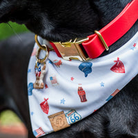 Liberty Days Bandana