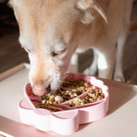 Seashell Slow Feeder Bowl | Petal