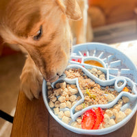 Golden Hour Slow Feeder Bowl | Sky