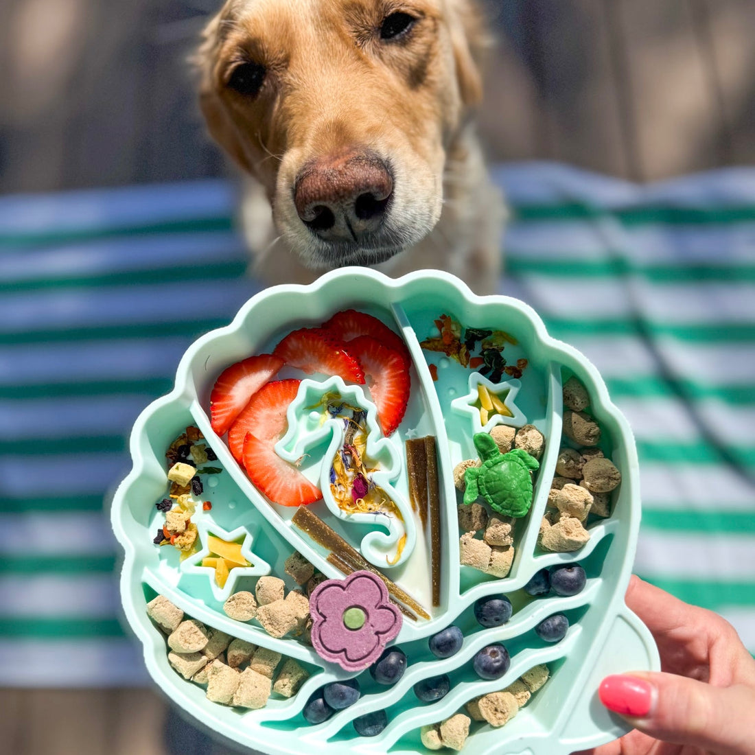 Seashell Slow Feeder Bowl | Seafoam