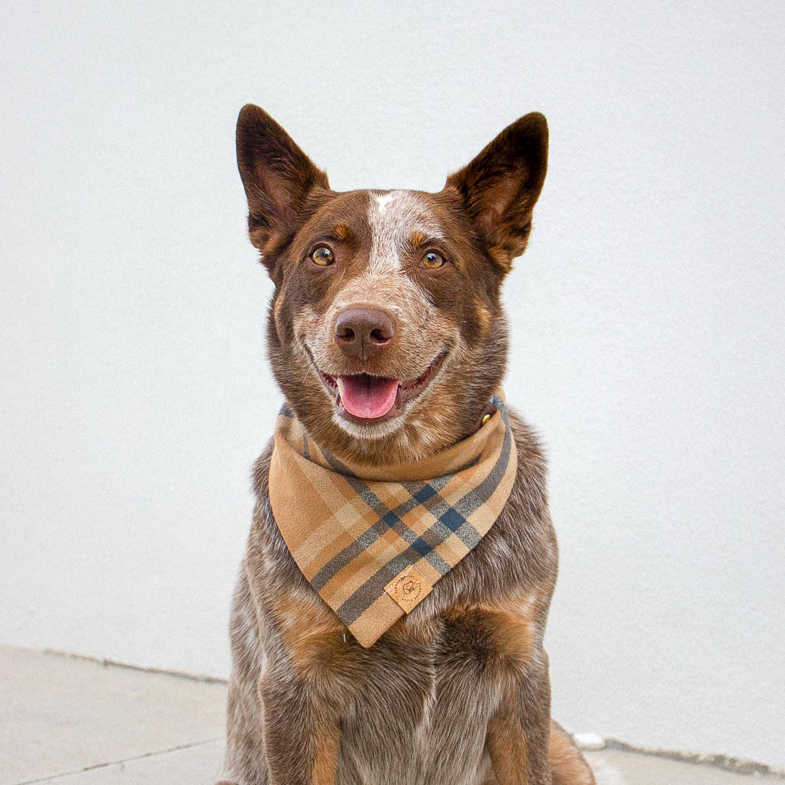 Latte Weather Flannel Bandana