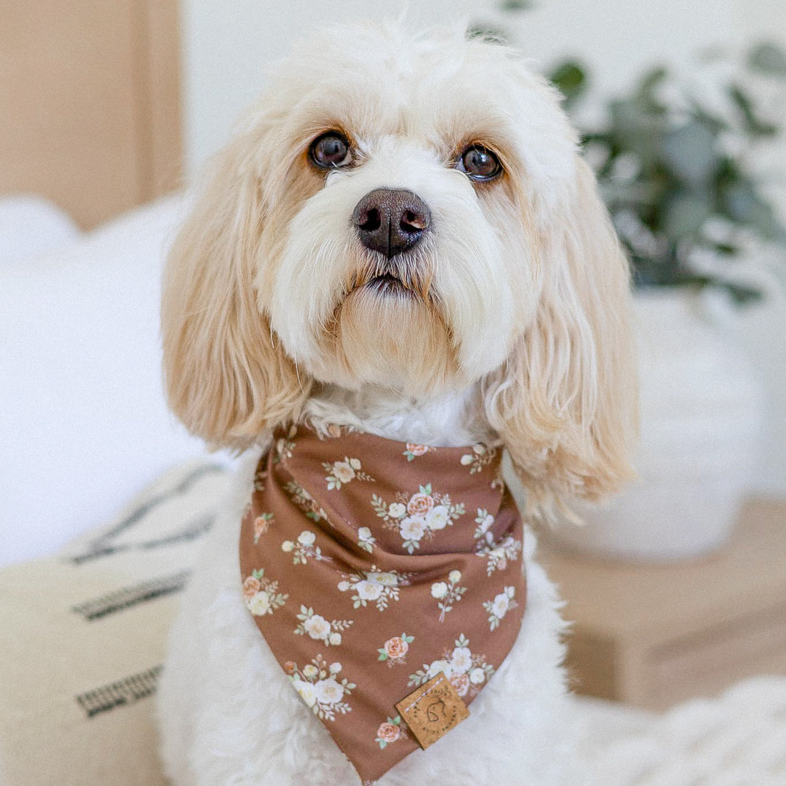 Autumn Bloom Bandana