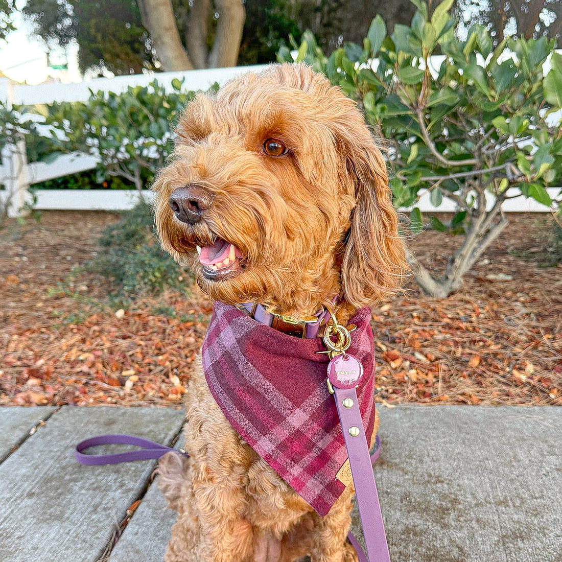 Burgundy Woods Flannel Bandana
