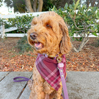 Burgundy Woods Flannel Bandana
