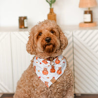 Pumpkin Bears Bandana
