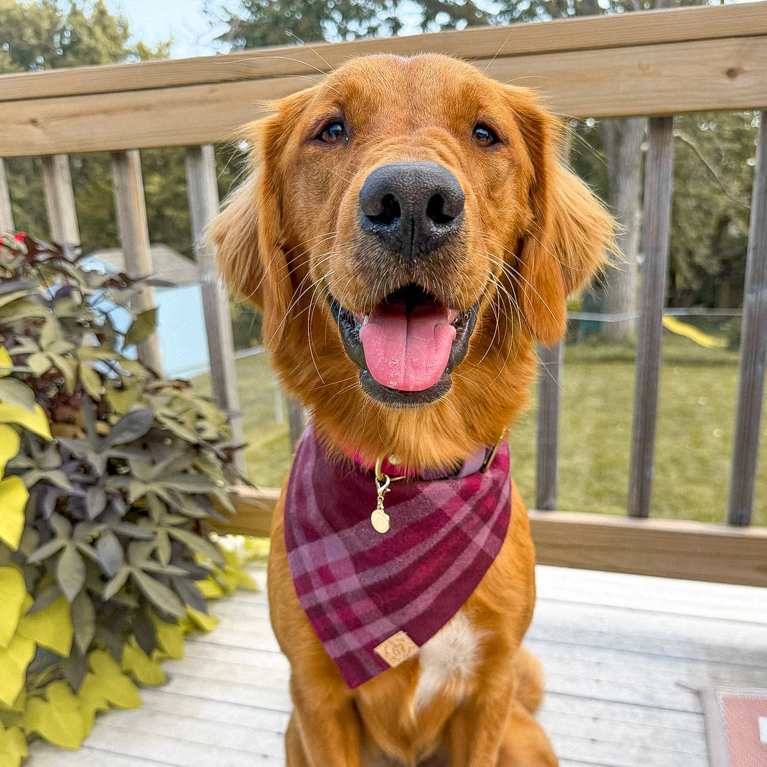 Burgundy Woods Flannel Bandana