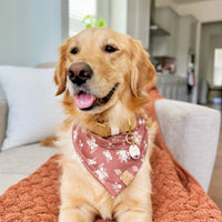 Autumn Bloom Bandana