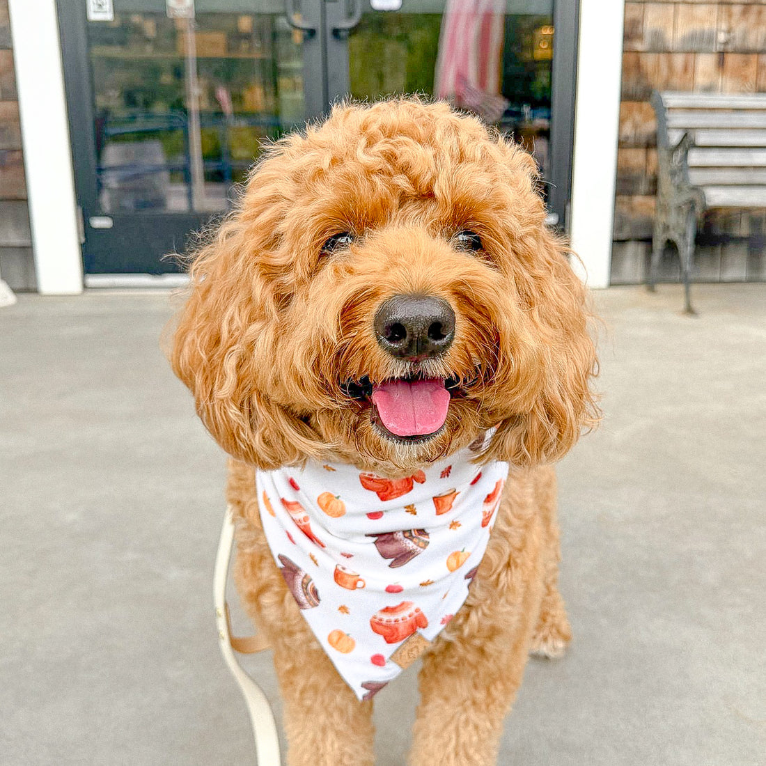 Cozy Days Bandana