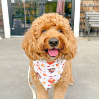 Cozy Days Bandana
