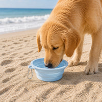 Collapsible Travel Bowl