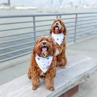 Harbor Days Bandana