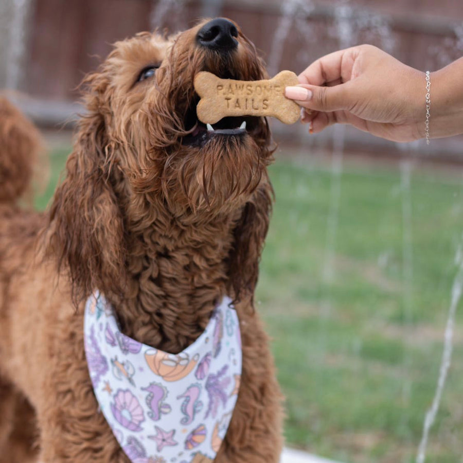 Quick Dry Under The Sea Bandana