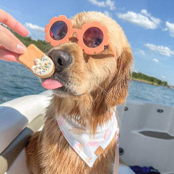 Summertime Bandana