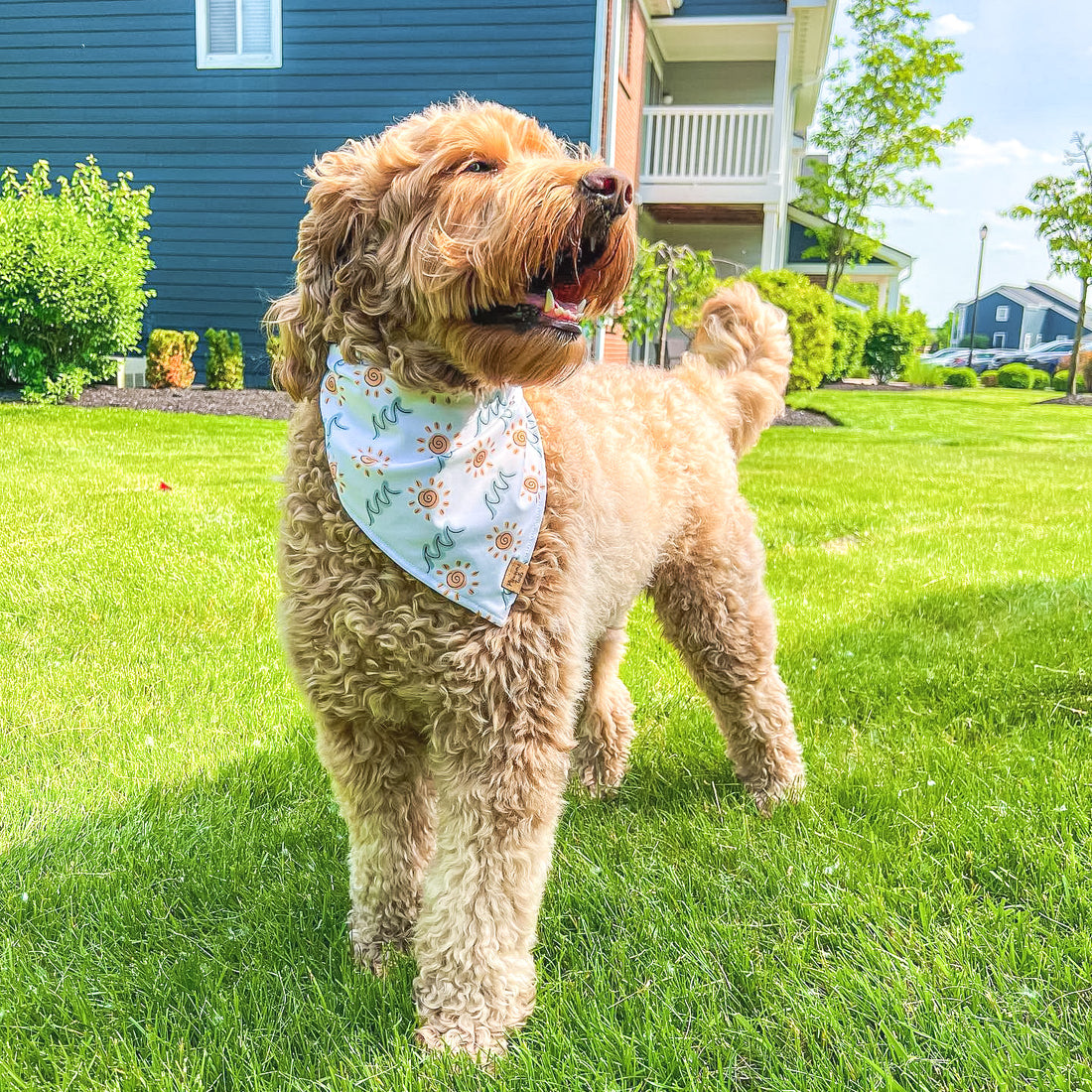 Quick Dry Sunny Shore Bandana