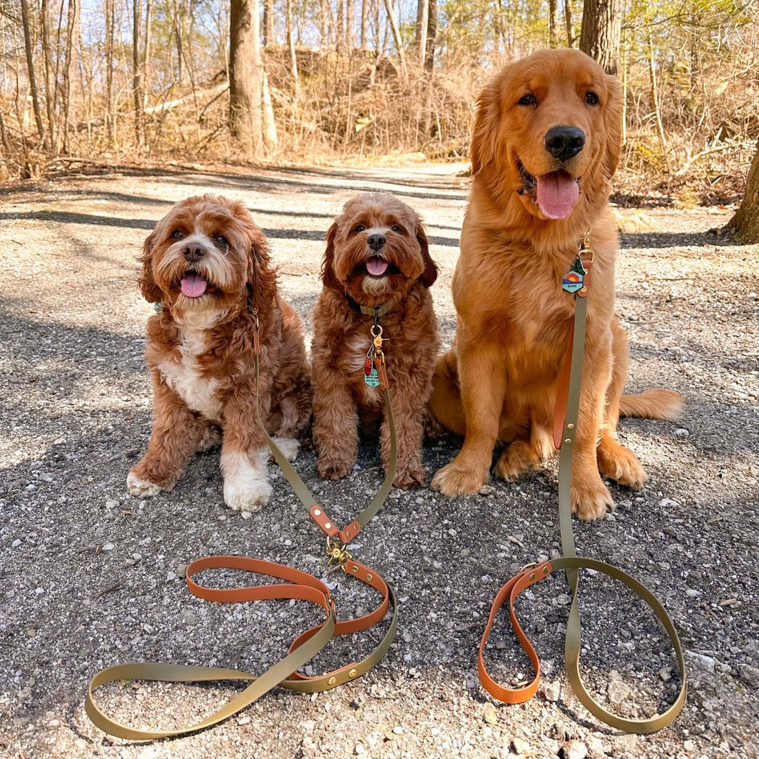 Two-Tone Leash Splitter/Coupler