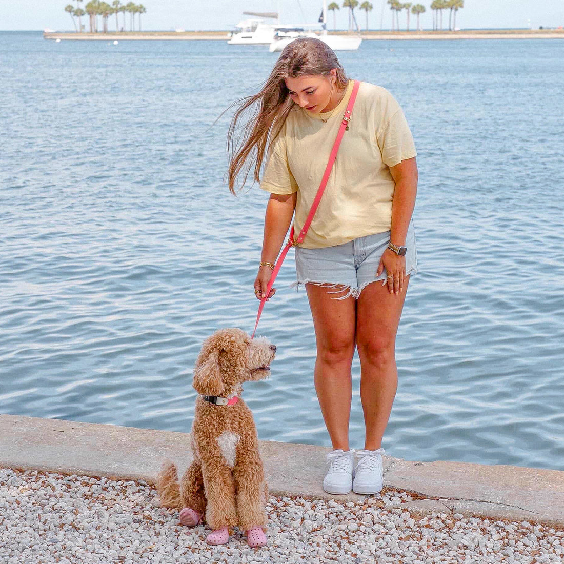 Standard Waterproof Hands-Free Dog Leash