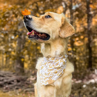 Golden Meadow Bandana