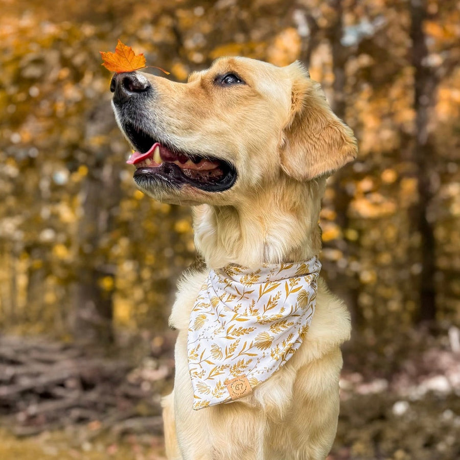 Golden Meadow Bandana