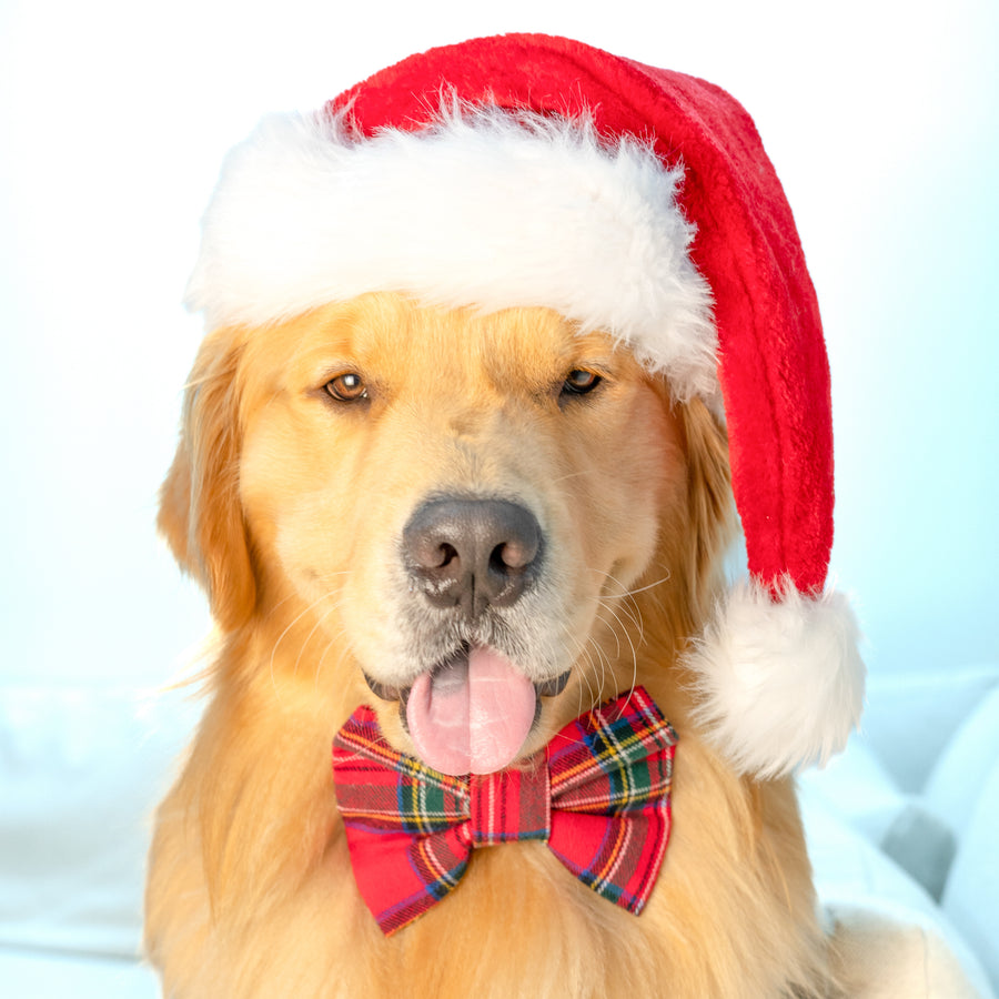 Christmas Magic Plaid Flannel Bow Tie
