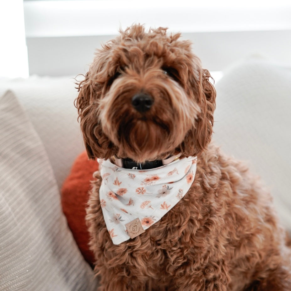 Autumn Bloom Bandana