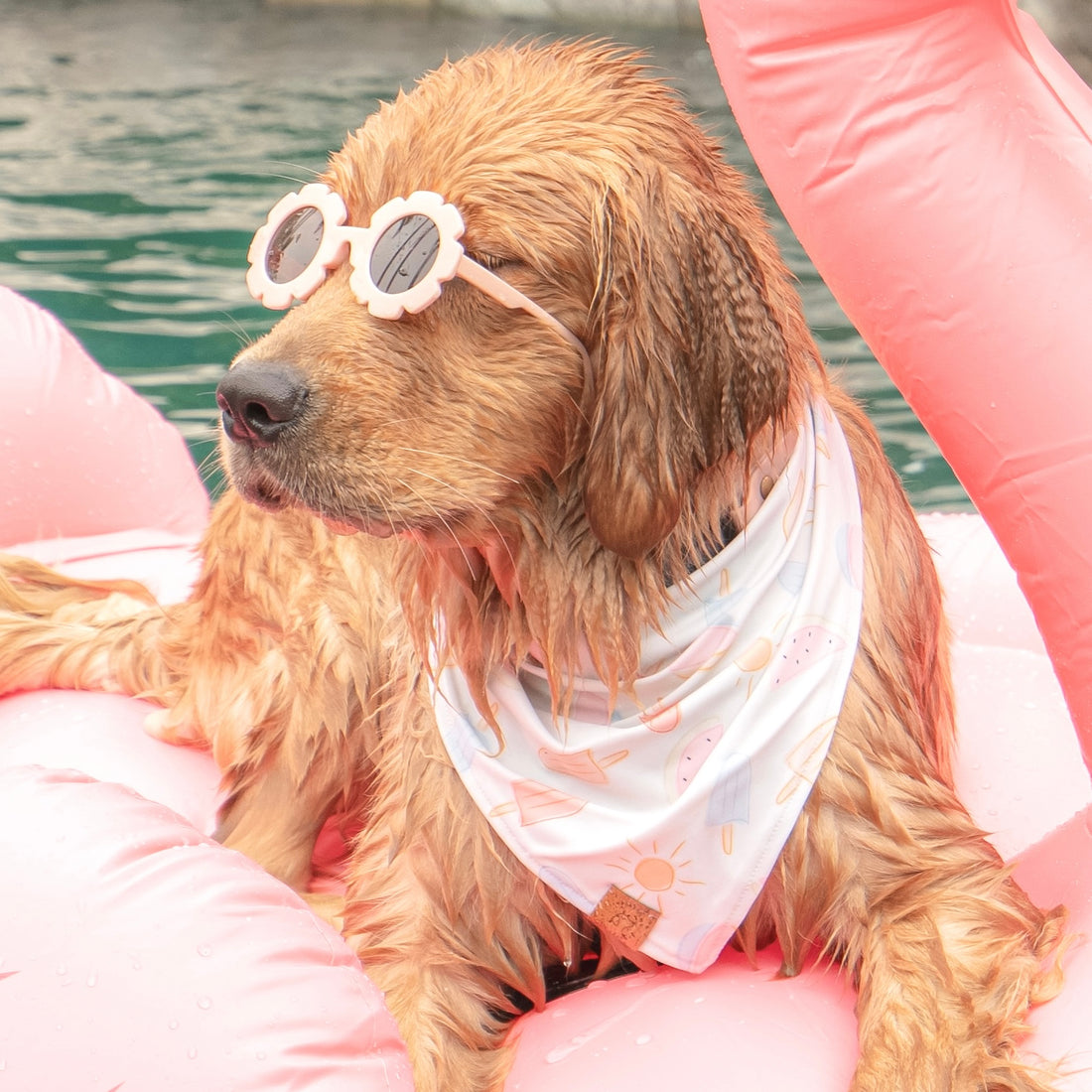 Summertime Bandana