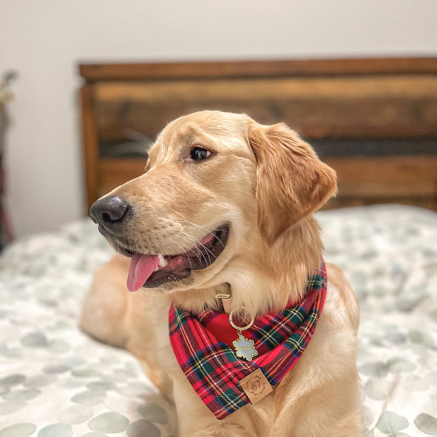Christmas Magic Flannel Bandana