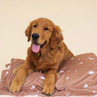 Earthy Boho Caramel Dog Blanket