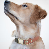 Two-Tone Adjustable Quick Release Collar