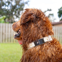 1.5" Fi Compatible Waterproof Slip Collar