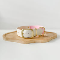 1.5" Two-Tone Waterproof Classic Buckle Dog Collar