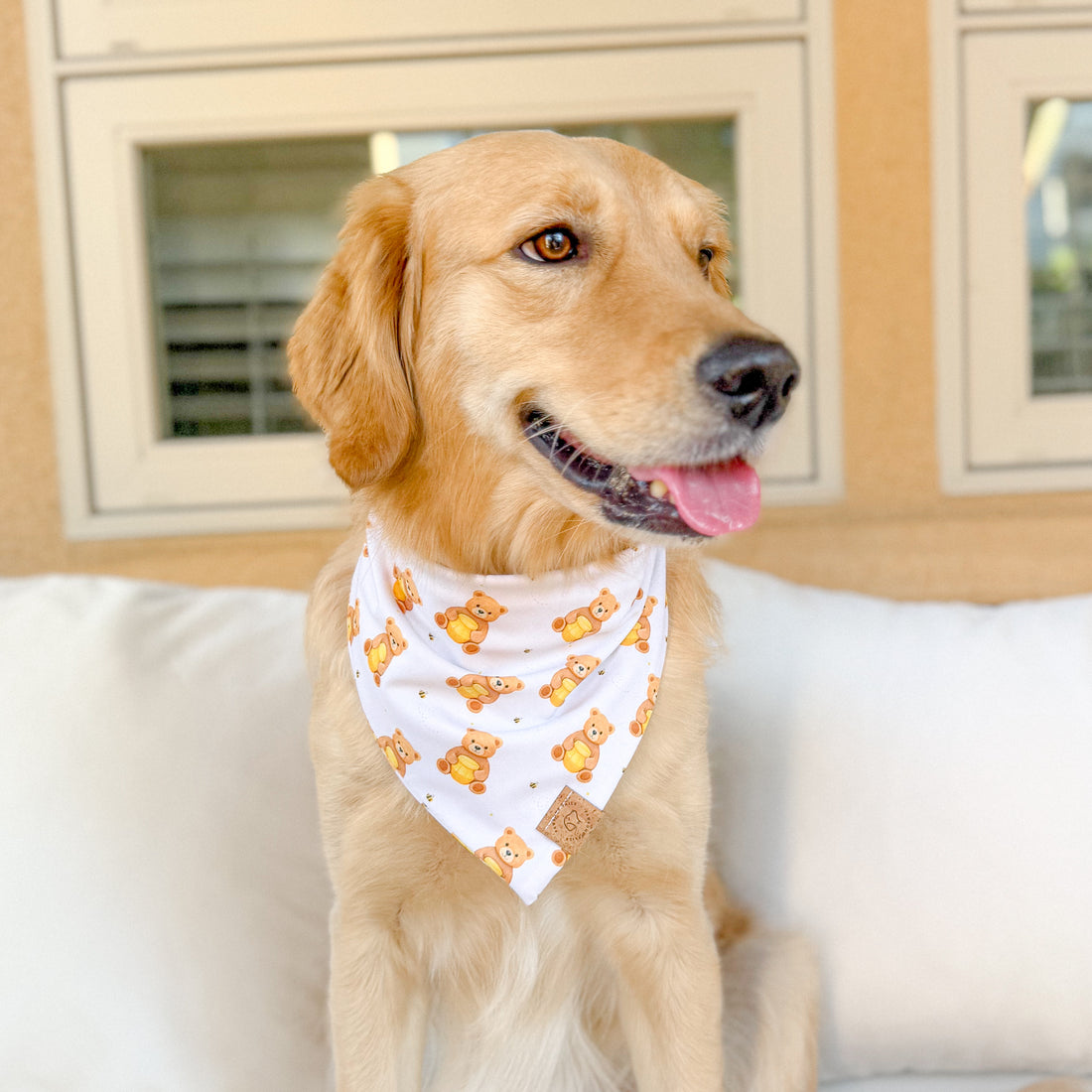 Honey Bear Bandana