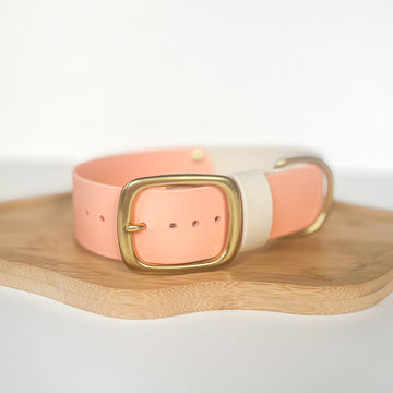 1.5" Two-Tone Waterproof Classic Buckle Dog Collar