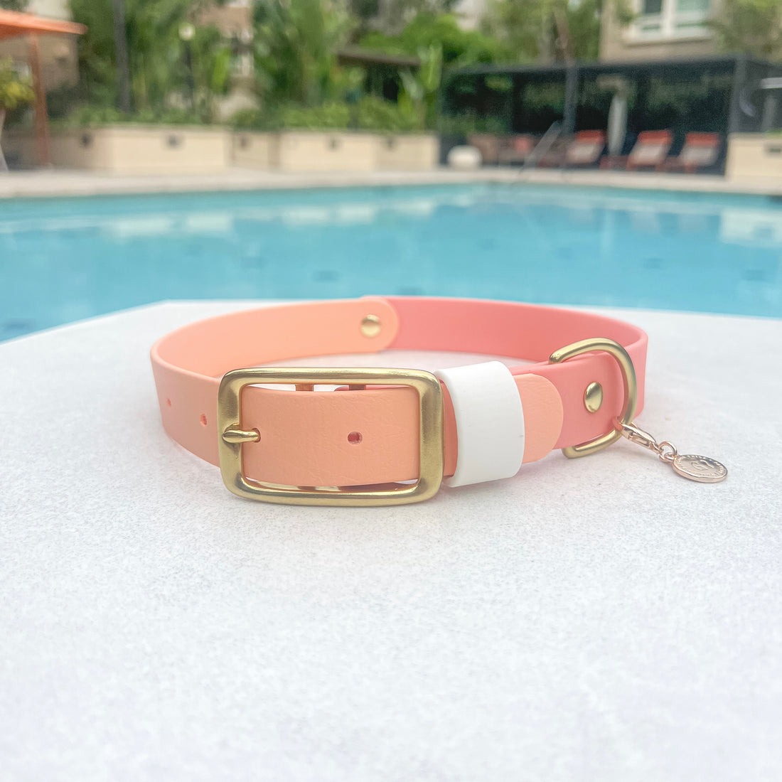 Two-Tone Waterproof Classic Buckle Dog Collar