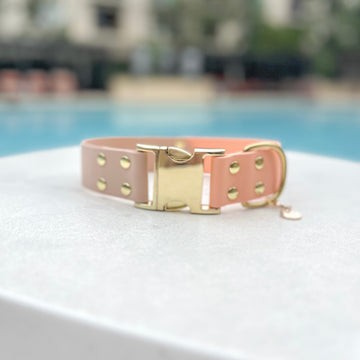 1.5" Two-Tone Waterproof Non-Adjustable Quick Release Collar