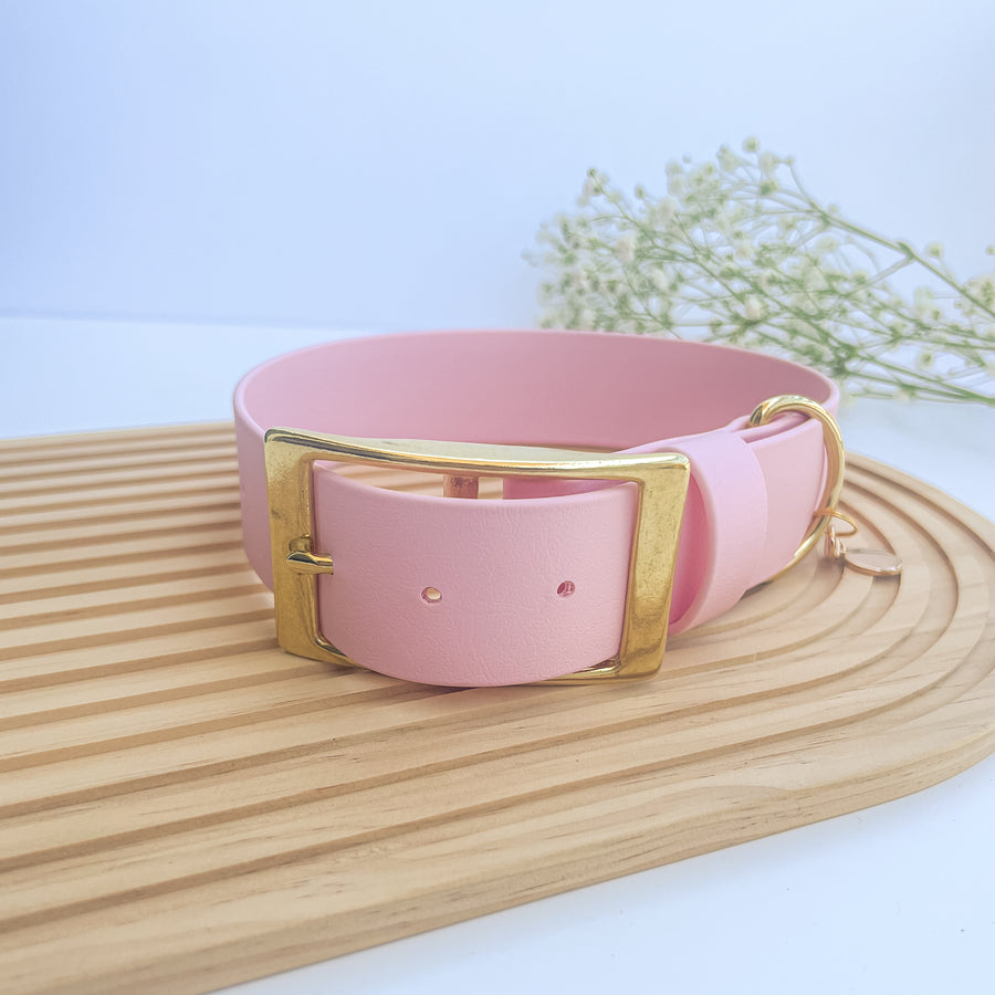 1.5" Classic Buckle Dog Collar