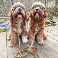 Two-Tone Leash Splitter/Coupler