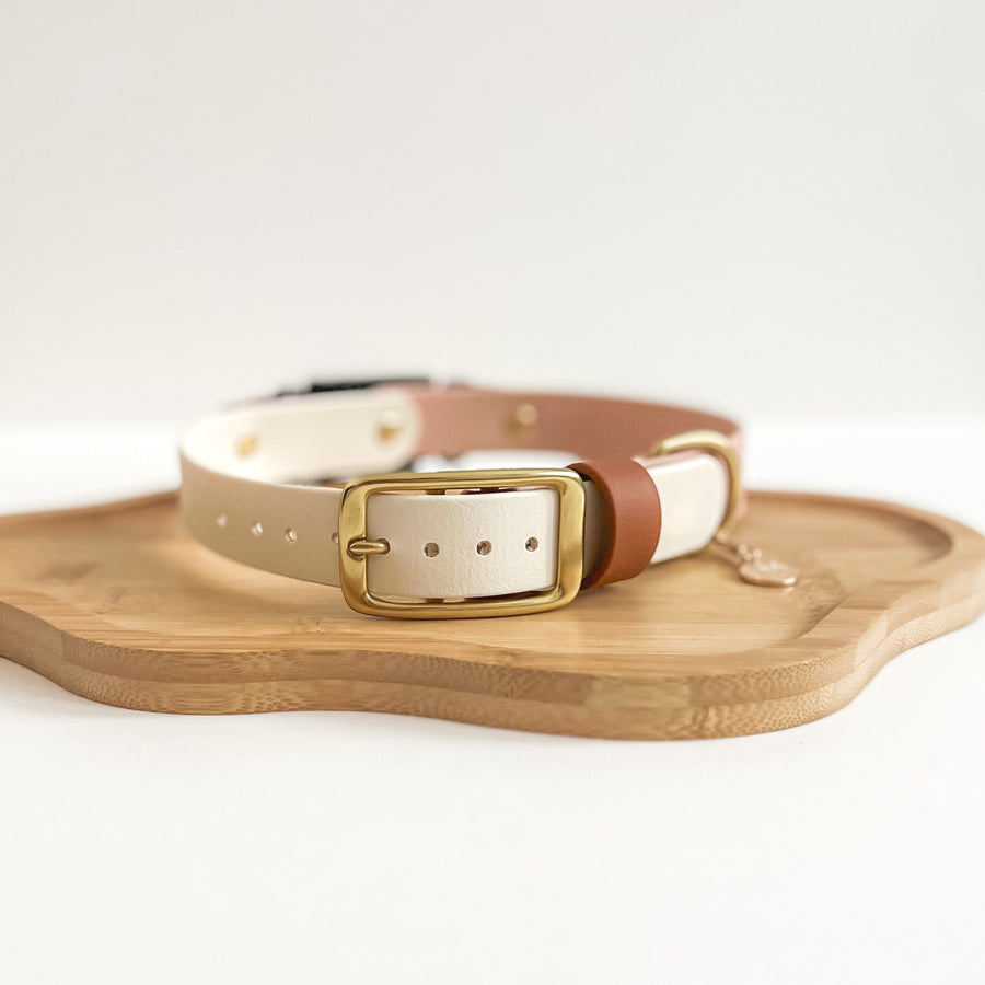 Fi Compatible  Waterproof Classic Collar