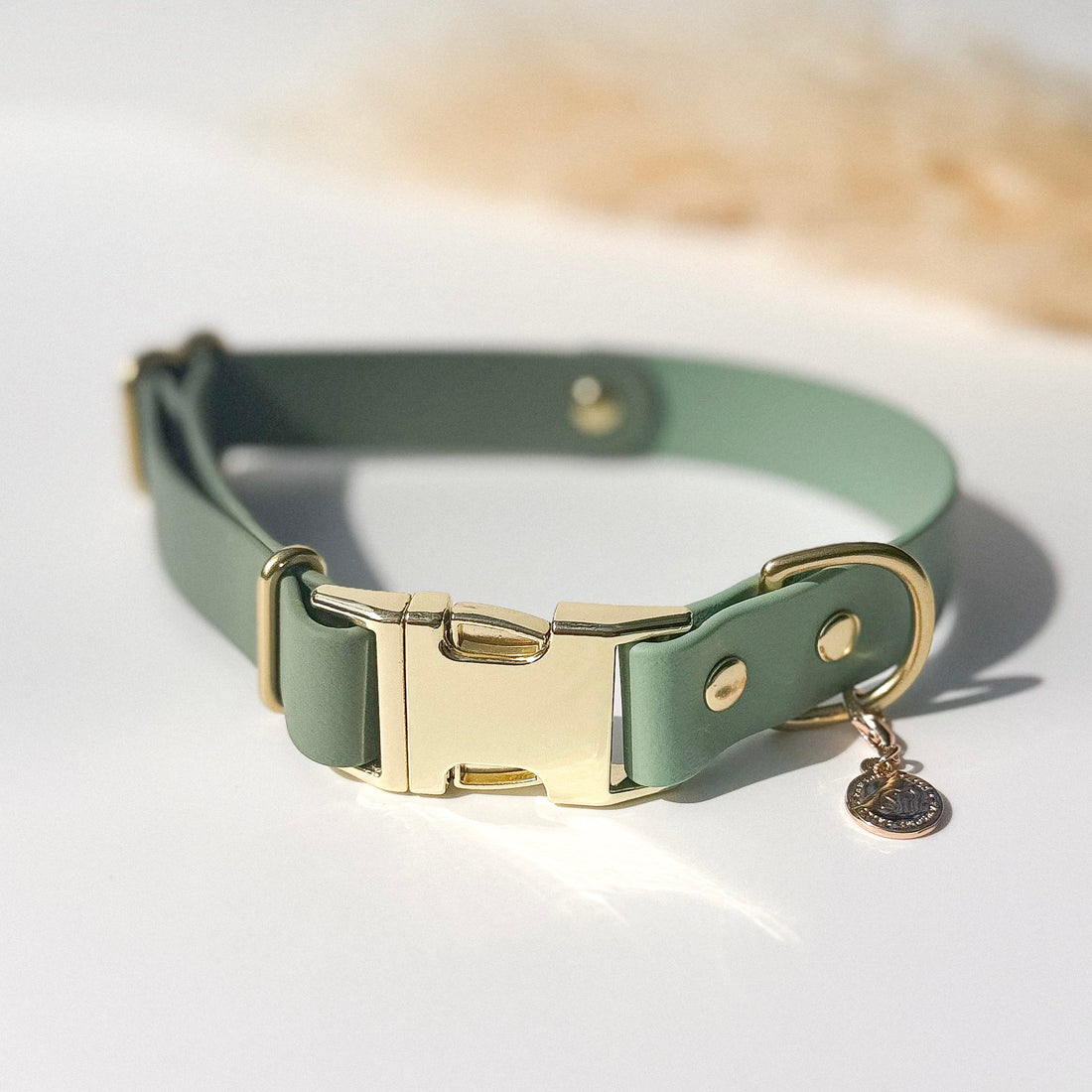 Two-Tone Waterproof Adjustable Quick Release Dog Collar