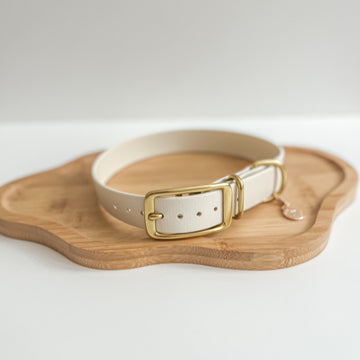 Waterproof Classic Buckle Dog Collar