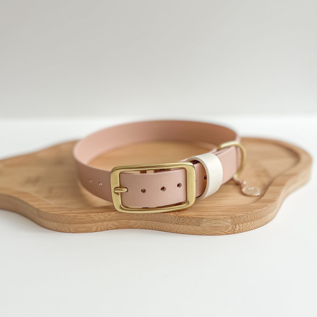 Waterproof Classic Buckle Dog Collar